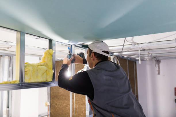 Trusted East Dundee, IL Insulation Contractor Experts