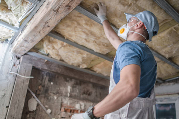 Best Geographic-Specific Insulation Services in East Dundee, IL